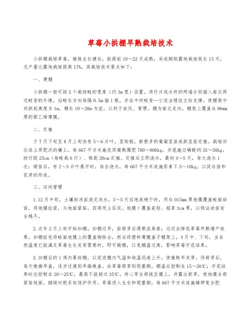草莓小拱棚早熟栽培技术