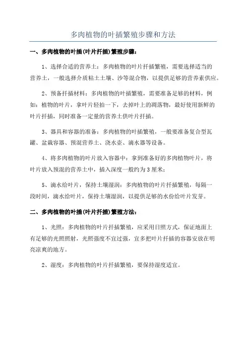多肉植物的叶插繁殖步骤和方法