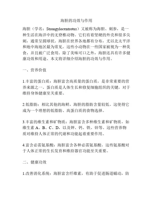 海胆的功效与作用