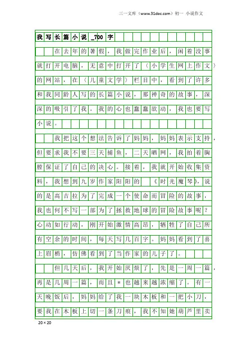 初一小说作文：我写长篇小说_700字