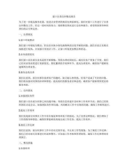 窗口自查自纠整改报告