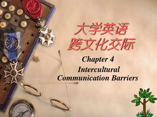 跨文化交际chapter4