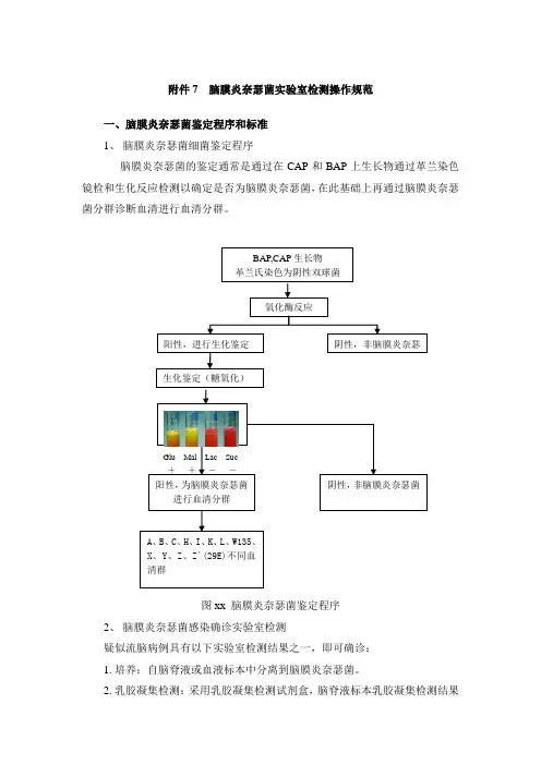脑膜炎奈瑟菌实验室检测操作规范详解知识