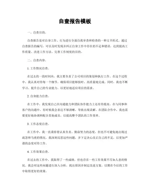 自查报告模板