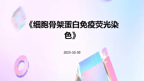 细胞骨架蛋白免疫荧光染色