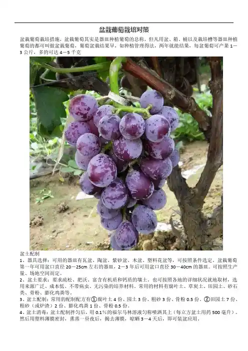 盆栽葡萄栽培对策