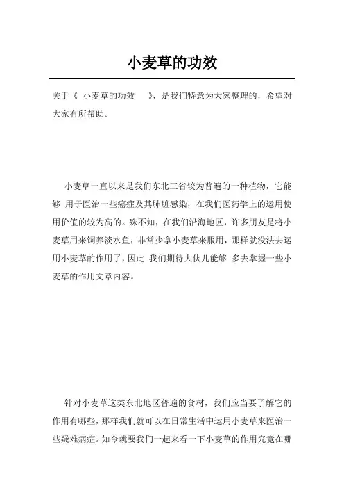 小麦草的功效  