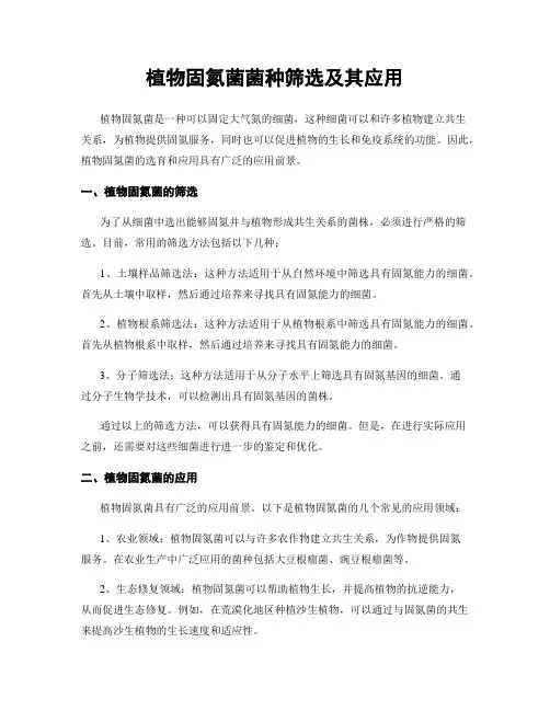 植物固氮菌菌种筛选及其应用