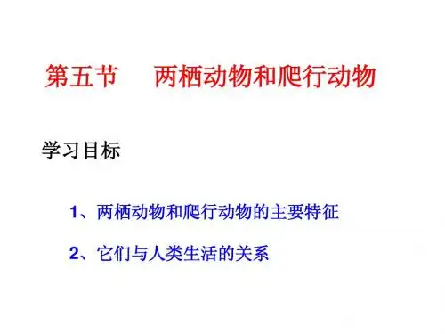 第五节 两栖动物和爬行动物