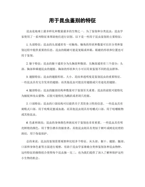 用于昆虫鉴别的特征
