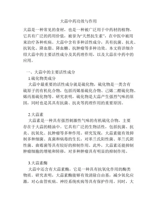 大蒜中药功效与作用