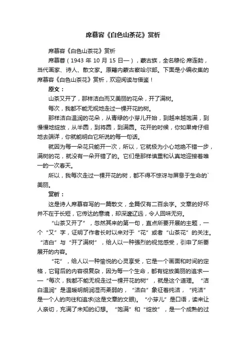 席慕容《白色山茶花》赏析