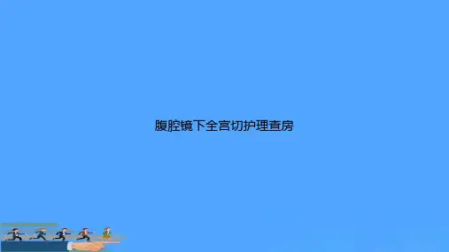 腹腔镜下全宫切护理查房PPT资料