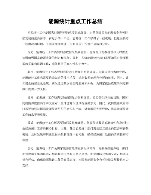 能源统计重点工作总结