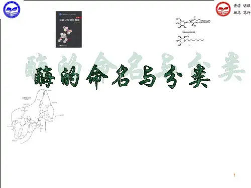 酶的分类与命名ppt课件