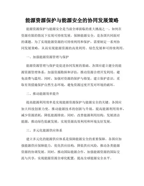 能源资源保护与能源安全的协同发展策略