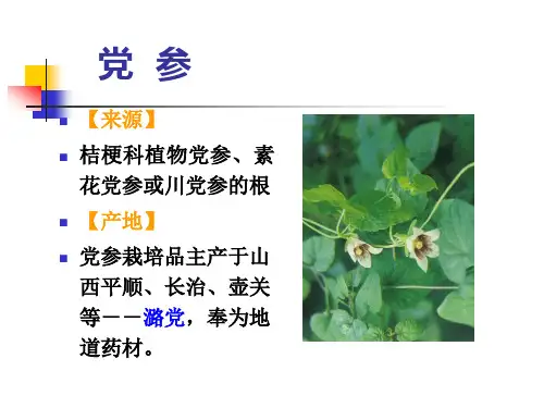 党参木香,白术、苍术