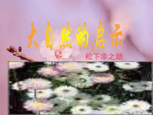 大自然的启示PPT教学课件