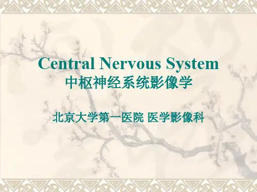 中枢神经系统影像学