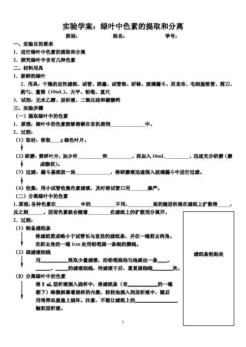 必修1第5章实验学案：绿叶中色素的提取和分离