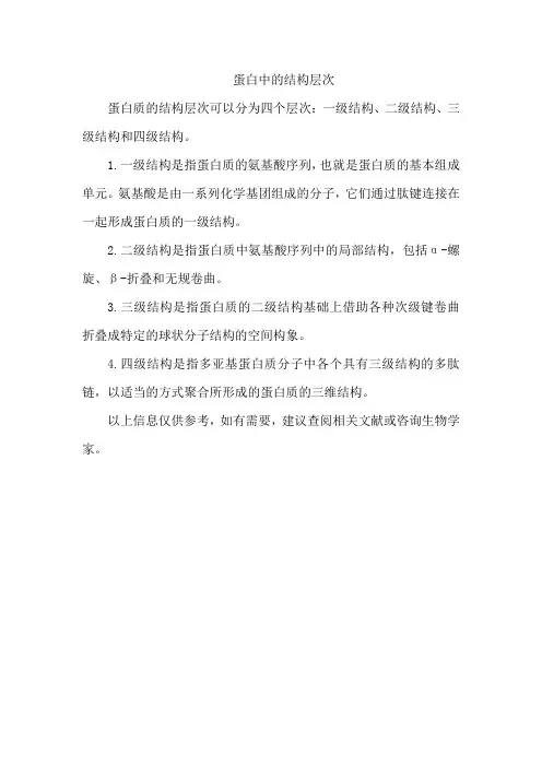 蛋白中的结构层次