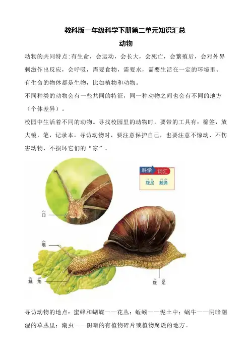 教科版一年级科学下册第二单元知识汇总
