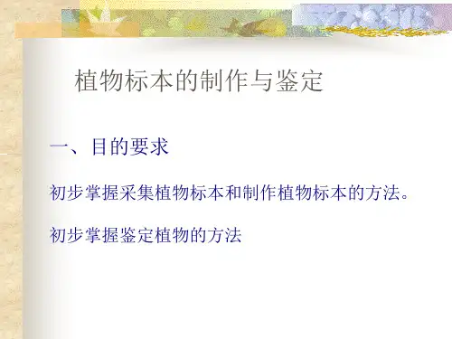 植物标本制作介绍课件.ppt