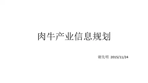 肉牛产业信息规划 ppt课件