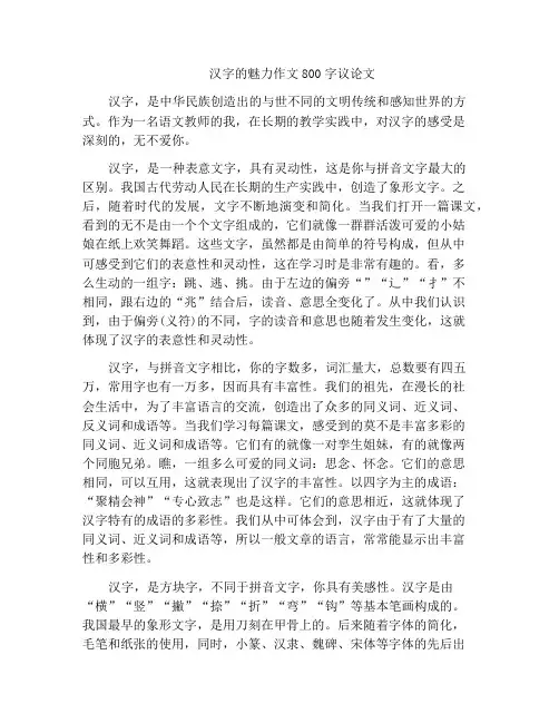 汉字的魅力作文800字议论文