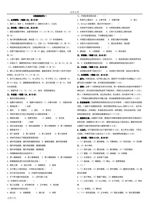《局部解剖学》精彩试题+问题详解