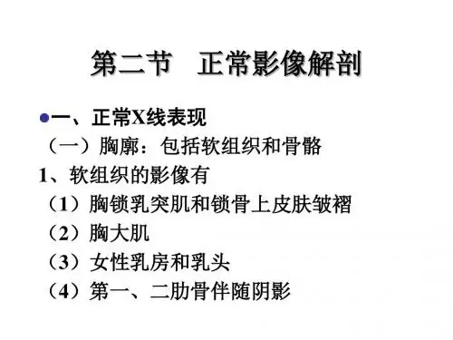 xxxttt胸部正常及基本病变X线