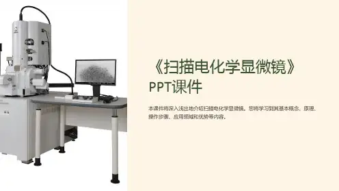 《扫描电化学显微镜》课件