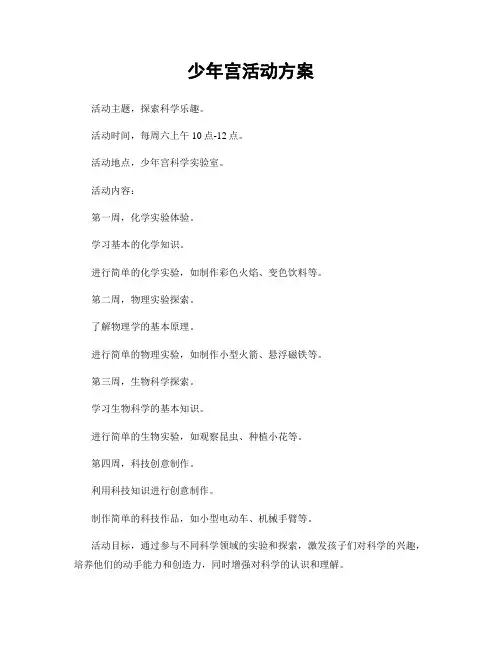少年宫活动方案