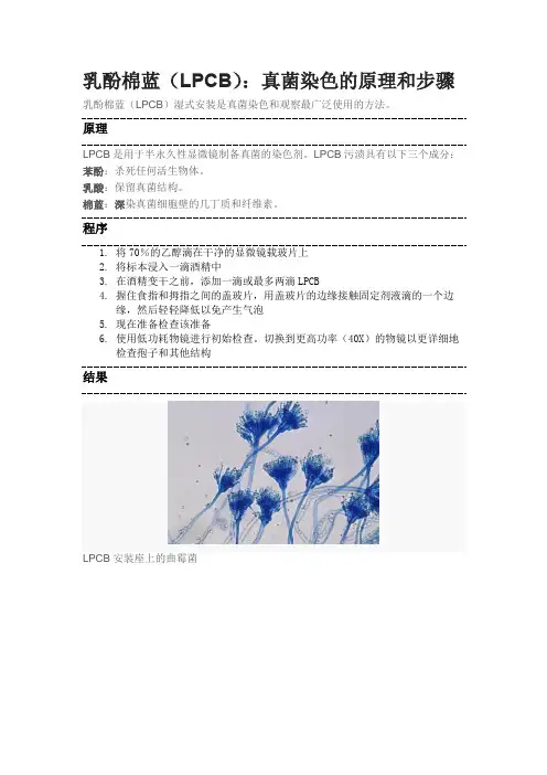 乳酚棉蓝(LPCB)：真菌染色的原理和步骤