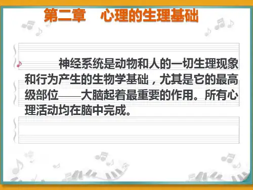 特殊教育《心理的生理基础》课件