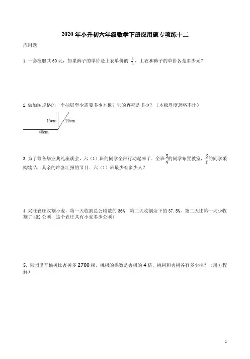 人教版2020年小升初六年级数学下册应用题专项练十二附答案解析