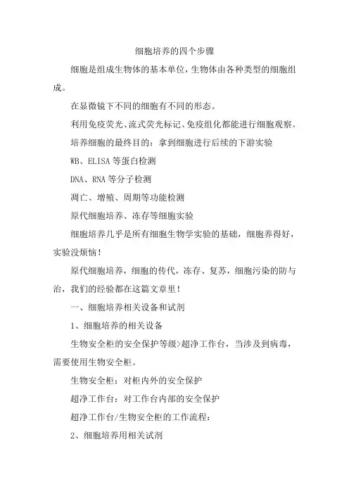 细胞培养的四个步骤