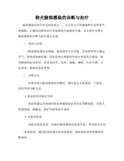 狗犬脑部感染的诊断与治疗