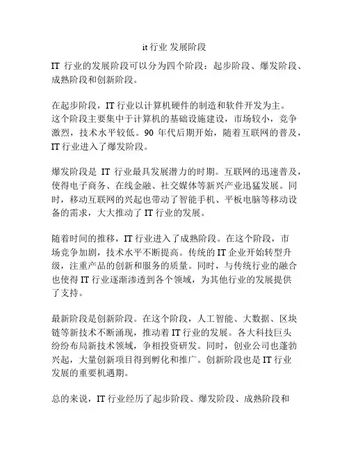 it行业 发展阶段