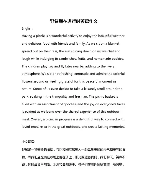 野餐现在进行时英语作文
