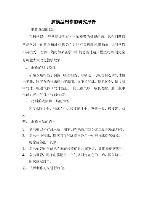 肺模型制作的研究报告
