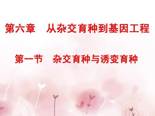 第六章_第一节杂交育种与诱变育种