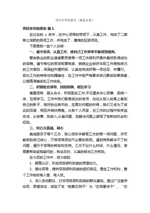 项目年终的报告（精选6篇）