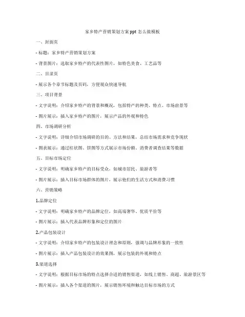 家乡特产营销策划方案ppt怎么做模板