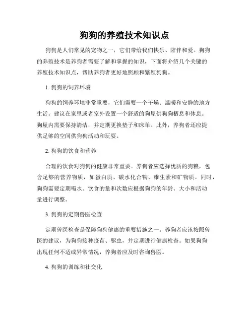 狗狗的养殖技术知识点