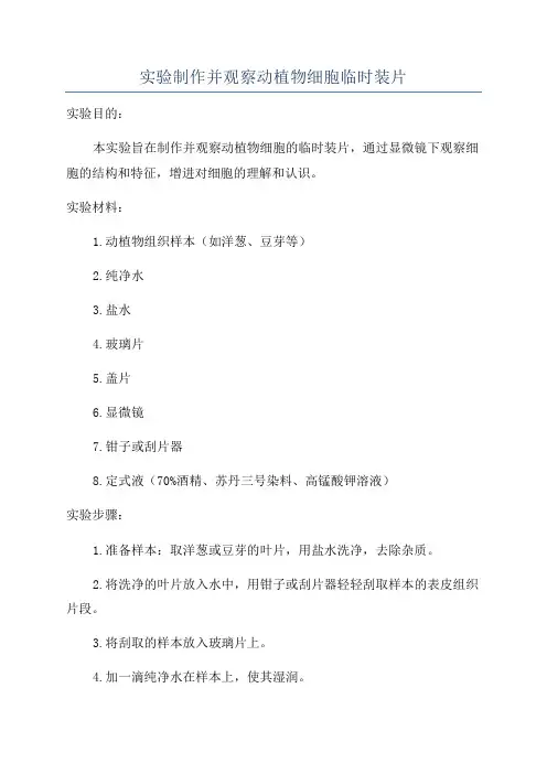 实验制作并观察动植物细胞临时装片