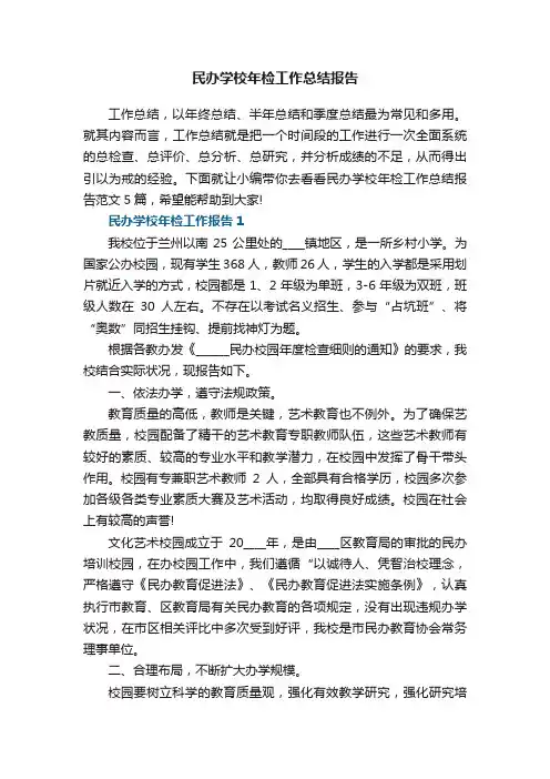 民办学校年检工作总结报告范文5篇
