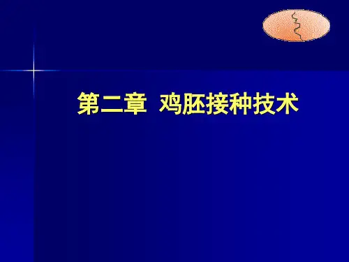 鸡胚接种技术