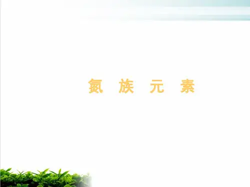 《氮族元素》PPT 人教课标版