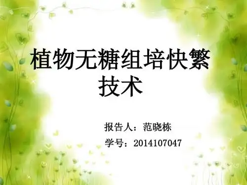 范晓栋